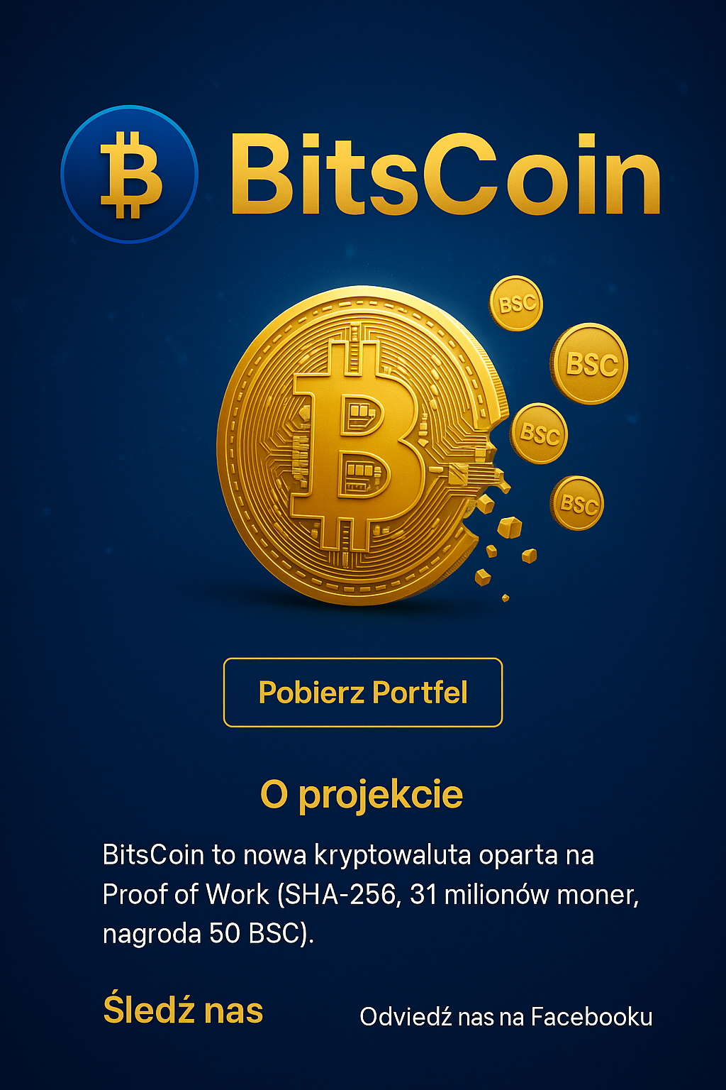 BitsCoin Logo